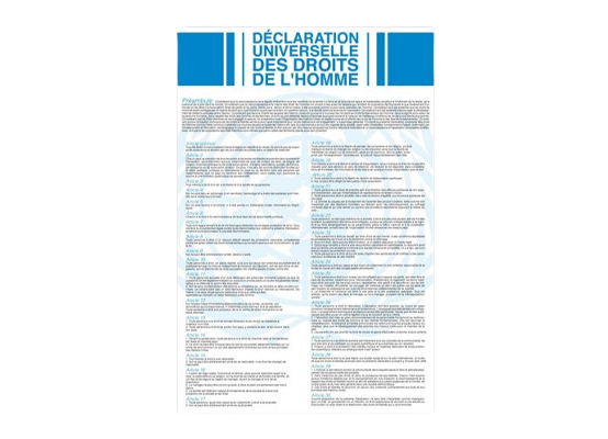 Plaque d'intérieur déclaration universelle des droits de l'Homme et du  citoyen - ONU - Matériel de collectivités